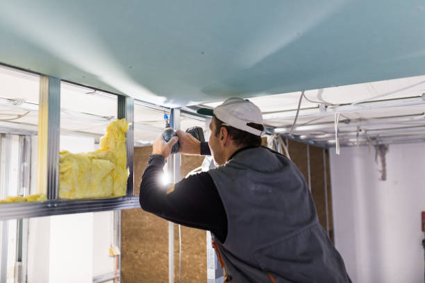 Best Insulation Installation Services in Erma, NJ
